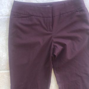 Burgundy/maroon dress pant